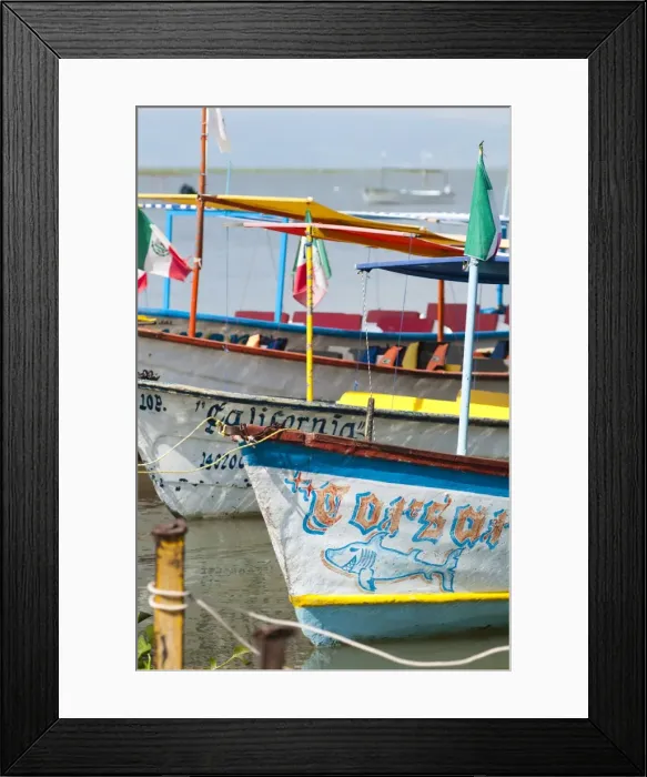 Framed Print : Chapala, Lake Chapala, Jalisco, Mexico, North America Framed Print : Chapala, Lake Chapala, Jalisco, Mexico, North America