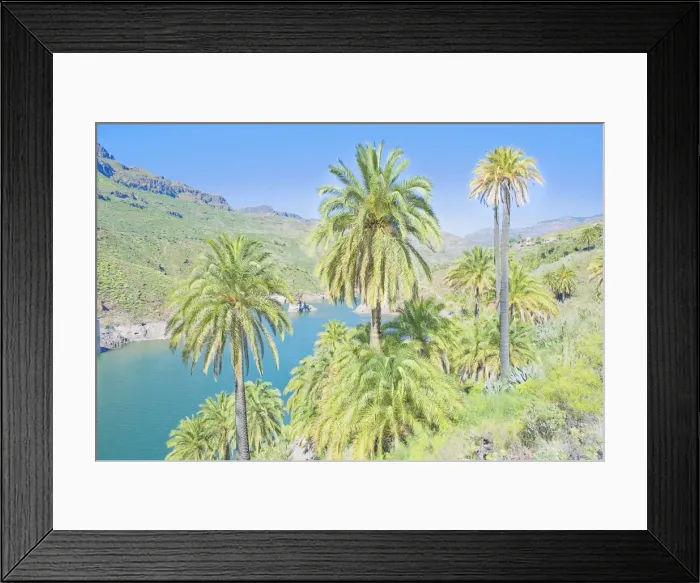 Framed Print : Palm trees and lake, Fataga, Gran Canaria, Canary Islands, Spain, Atlantic, Europe Framed Print : Palm trees and lake, Fataga, Gran Canaria, Canary Islands, Spain, Atlantic, Europe