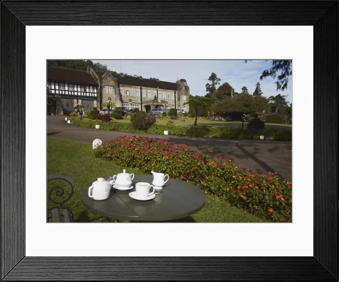 Framed Print : Morning tea in the garden of the Hill Club, Nuwara Eliya, Sri Lanka, Asia Framed Print : Morning tea in the garden of the Hill Club, Nuwara Eliya, Sri Lanka, Asia