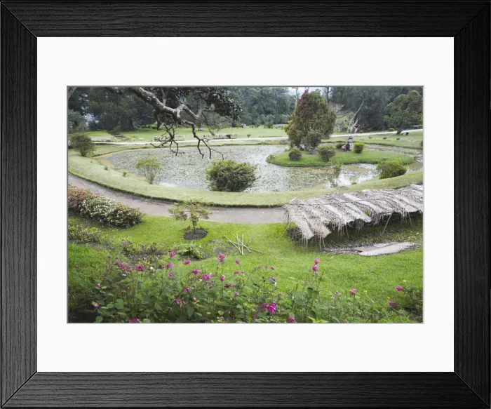 Framed Print : Victoria Park, Nuwara Eliya, Sri Lanka, Asia Framed Print : Victoria Park, Nuwara Eliya, Sri Lanka, Asia