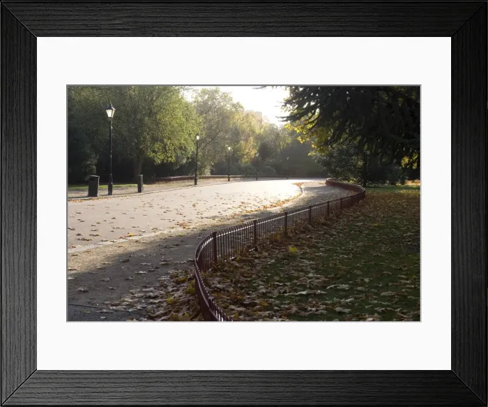 Framed Print : Drive through Battersea Park, London, England, United Kingdom, Europe Framed Print : Drive through Battersea Park, London, England, United Kingdom, Europe