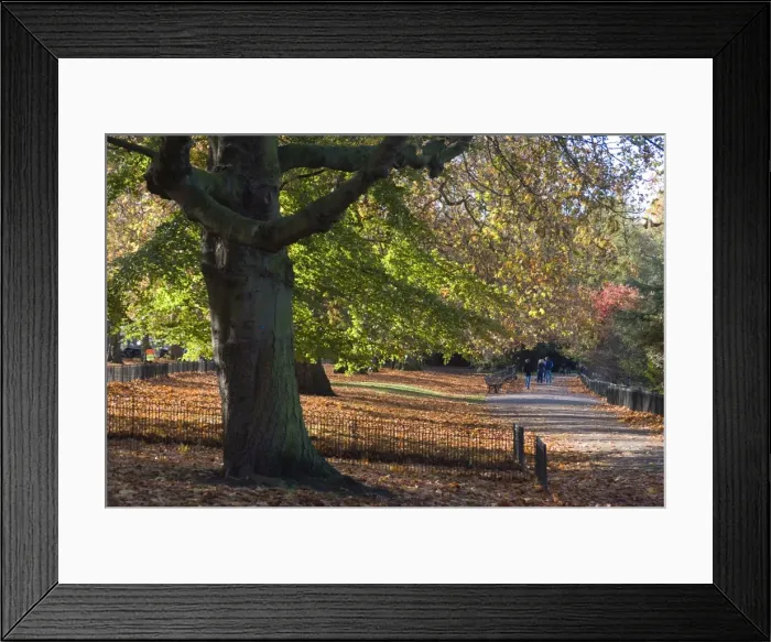 Framed Print : Walk through Battersea Park, London, England, United Kingdom, Europe