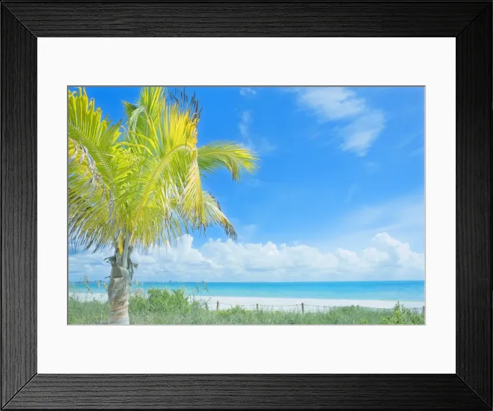 Framed Print : Tropical beach, Sanibel Island, Florida, United States of America, North America Framed Print : Tropical beach, Sanibel Island, Florida, United States of America, North America