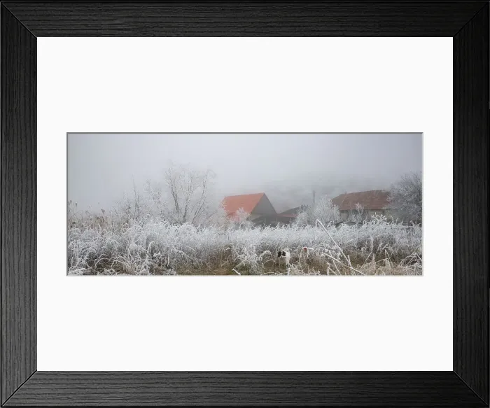 Framed Print : Frozen scene in winter, Romania, Europe Framed Print : Frozen scene in winter, Romania, Europe