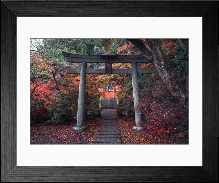 Framed Print : A torii gate in Bishamon-do Buddhist temple with autumn colors, Kyoto, Honshu, Japan, Asia Framed Print : A torii gate in Bishamon-do Buddhist temple with autumn colors, Kyoto, Honshu, Japan, Asia