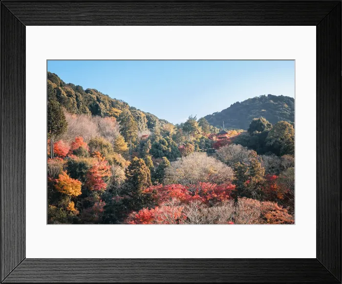 Framed Print : Kiyomizu-dera Buddhist Temple garden and Koyasunoto Pagoda in autumn, UNESCO World Heritage Site, Kyoto, Honshu, Japan, Asia Framed Print : Kiyomizu-dera Buddhist Temple garden and Koyasunoto Pagoda in autumn, UNESCO World Heritage Site, Kyoto, Honshu, Japan, Asia