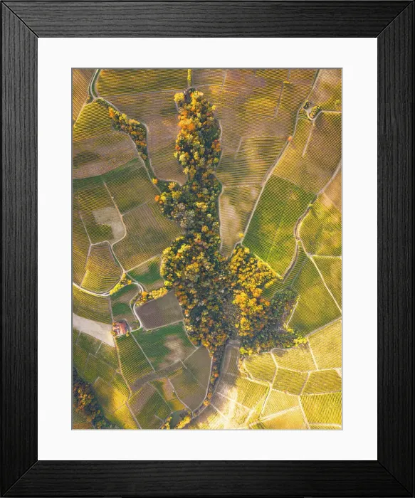 Framed Print : Aerial view taken from drone of the Langhe vineyards, on a beautiful autumn day, UNESCO World Heritage Site, Cuneo province, Piedmont, Italy, Europe Framed Print : Aerial view taken from drone of the Langhe vineyards, on a beautiful autumn day, UNESCO World Heritage Site, Cuneo province, Piedmont, Italy, Europe