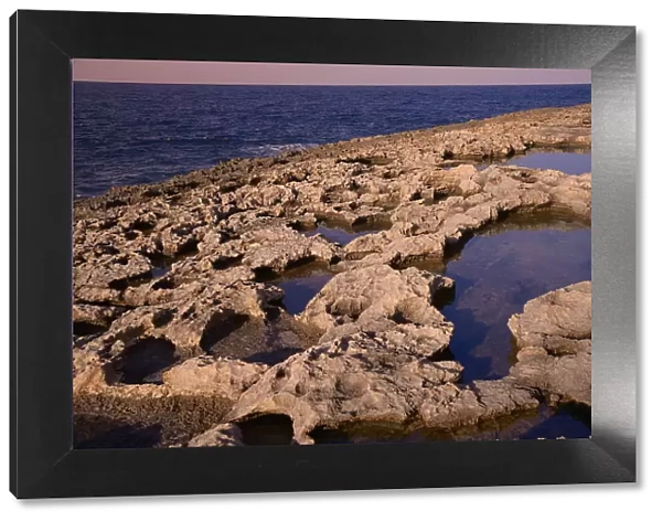 Rocky coast in Bugibba, Malta, Mediterranean, Europe
