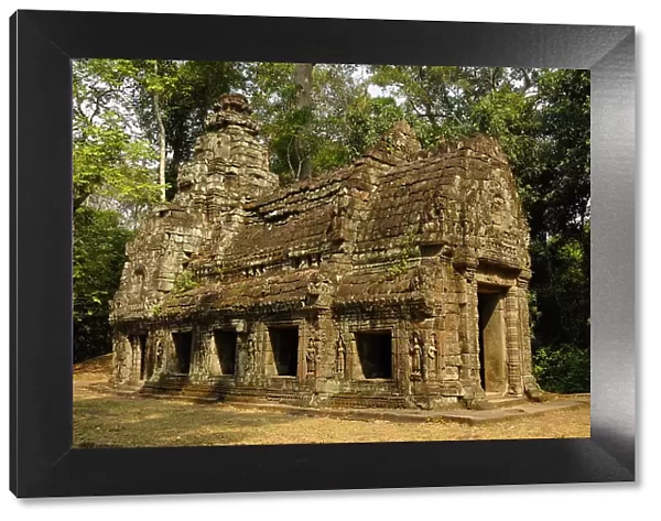 Ta Prohm Temple, Angkor, UNESCO World Heritage Site, Siem Reap, Cambodia, Indochina, Southeast Asia, Asia