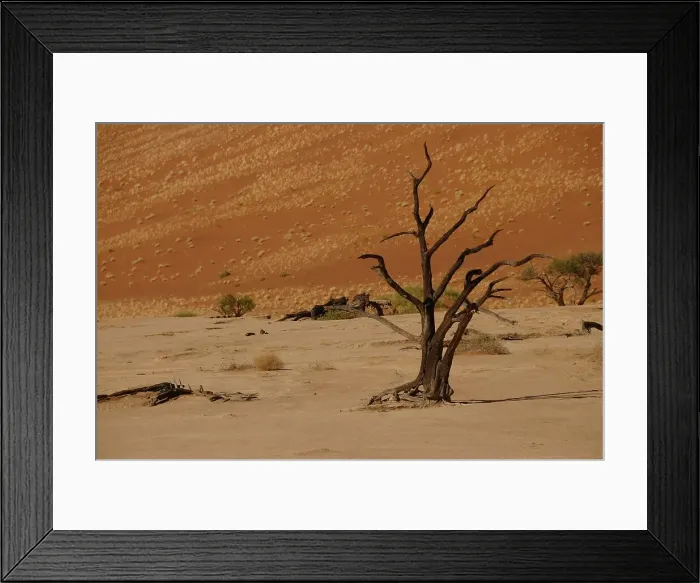 Framed Print : Dead Vlei, Sossusvlei, Namib Desert, Namibia, Africa Framed Print : Dead Vlei, Sossusvlei, Namib Desert, Namibia, Africa
