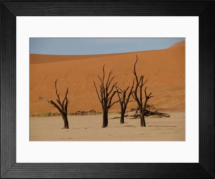 Framed Print : Dead Vlei, Sossusvlei, Namib Desert, Namibia, Africa Framed Print : Dead Vlei, Sossusvlei, Namib Desert, Namibia, Africa