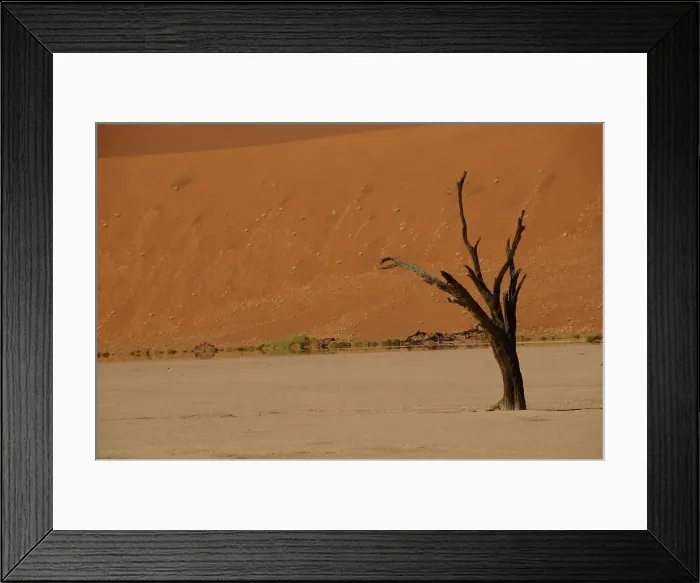 Framed Print : Dead Vlei, Sossusvlei, Namib Desert, Namibia, Africa Framed Print : Dead Vlei, Sossusvlei, Namib Desert, Namibia, Africa
