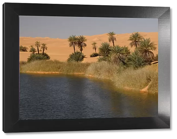 Picturesque orange Dunes of Ubari Oasis, Sahara Desert, Libya, North Africa, Africa
