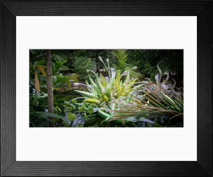 Framed Print : Lush green ferns and foliage in a tropical garden setting at Kew Gardens, London, England, United Kingdom, Europe Framed Print : Lush green ferns and foliage in a tropical garden setting at Kew Gardens, London, England, United Kingdom, Europe