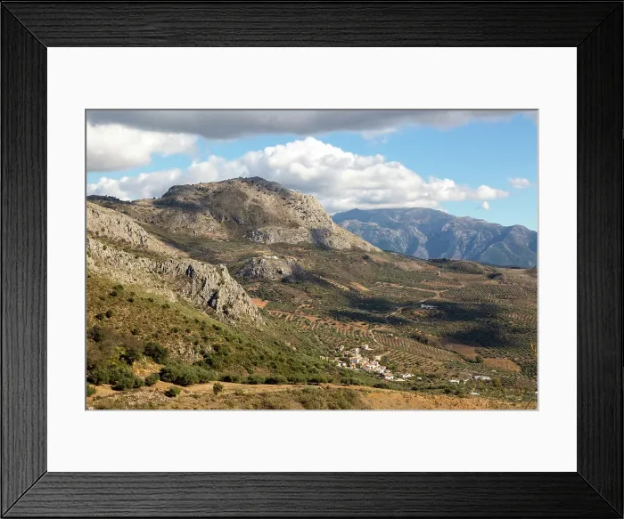 Framed Print : Olive trees near village of Aldea de Guaro, limestone mountains, Periana, Axarquia, Andalusia, Spain, Europe Framed Print : Olive trees near village of Aldea de Guaro, limestone mountains, Periana, Axarquia, Andalusia, Spain, Europe