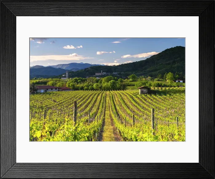 Framed Print : Landscape of Franciacorta country area in Brescia province, Lombardy, Italy, Europe Framed Print : Landscape of Franciacorta country area in Brescia province, Lombardy, Italy, Europe