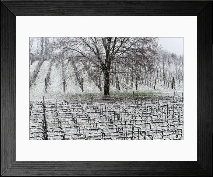 Framed Print : Winter Landscape in Franciacorta Country area, Brescia province, Lombardy, Italy, Europe