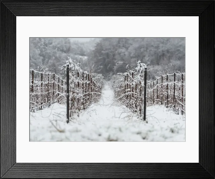 Framed Print : Winter Landscape in Franciacorta Country area, Brescia province, Lombardy, Italy, Europe