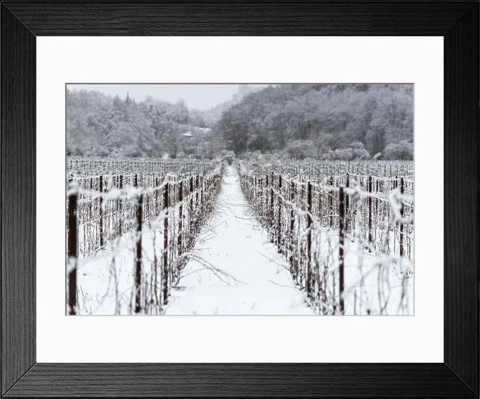 Framed Print : Winter Landscape in Franciacorta Country area, Brescia province, Lombardy, Italy, Europe Framed Print : Winter Landscape in Franciacorta Country area, Brescia province, Lombardy, Italy, Europe