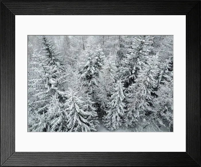 Framed Print : Winter snow in Italian Alps, with Mountain of Ponte di Legno in Brescia province, Lombardy, Italy, Europe Framed Print : Winter snow in Italian Alps, with Mountain of Ponte di Legno in Brescia province, Lombardy, Italy, Europe