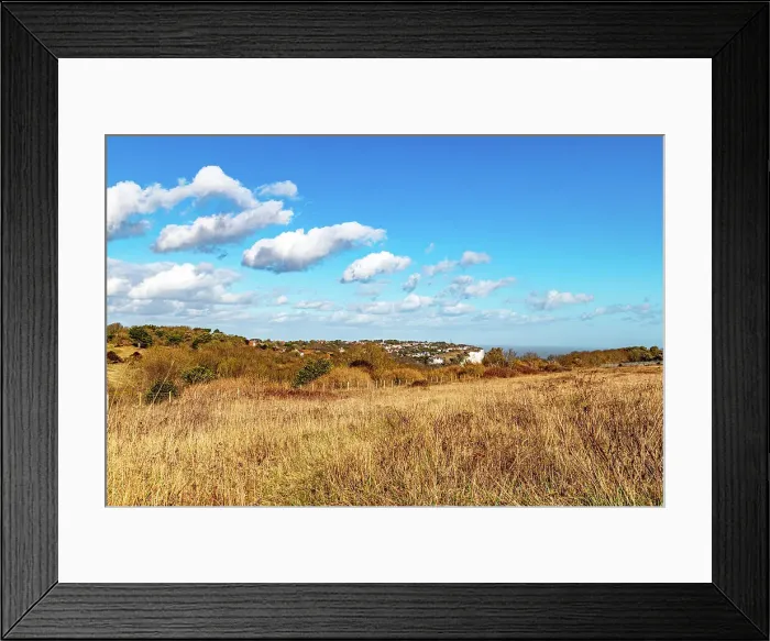 Framed Print : Scenic view of a dry grassland with scattered bushes under a blue sky with fluffy clouds, with a hint of a town in the distance, chalk cliffs on the Sussex coast, East Sussex, England, United Kingdom, Europe Framed Print : Scenic view of a dry grassland with scattered bushes under a blue sky with fluffy clouds, with a hint of a town in the distance, chalk cliffs on the Sussex coast, East Sussex, England, United Kingdom, Europe