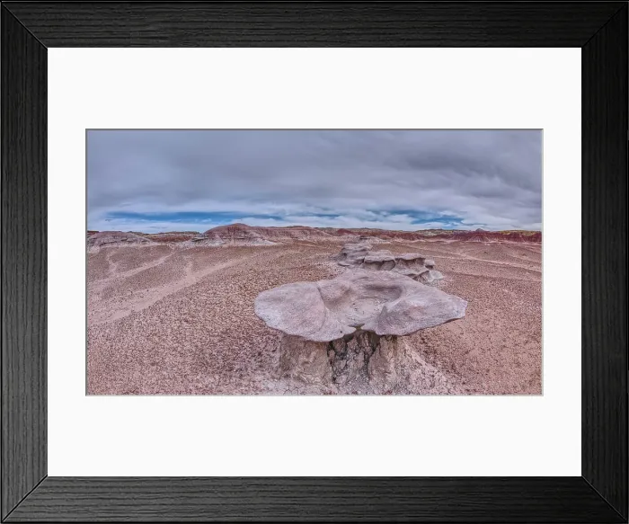 Framed Print : Sandstone that has been eroded into forms that resemble clam shells on the south end of Petrified Forest National Park, Arizona, United States of America, North America Framed Print : Sandstone that has been eroded into forms that resemble clam shells on the south end of Petrified Forest National Park, Arizona, United States of America, North America