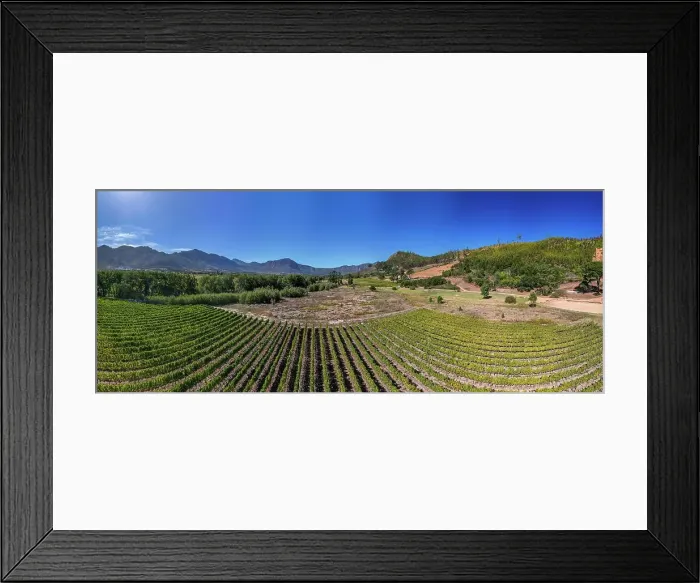 Framed Print : Trails through flowers and wildlife at Mont Rochelle Nature Reserve with views over Franschhoek Valley and Franschhoek, a town with centuries-old vineyards and Cape Dutch architecture, Franschhoek, Western Cape, South Africa, Africa Framed Print : Trails through flowers and wildlife at Mont Rochelle Nature Reserve with views over Franschhoek Valley and Franschhoek, a town with centuries-old vineyards and Cape Dutch architecture, Franschhoek, Western Cape, South Africa, Africa
