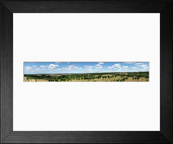 Framed Print : A panoramic view of the serene landscape of rolling hills dotted with oak trees, expansive fields, under a cloudy blue sky, Alentejo, Portugal, Europe Framed Print : A panoramic view of the serene landscape of rolling hills dotted with oak trees, expansive fields, under a cloudy blue sky, Alentejo, Portugal, Europe