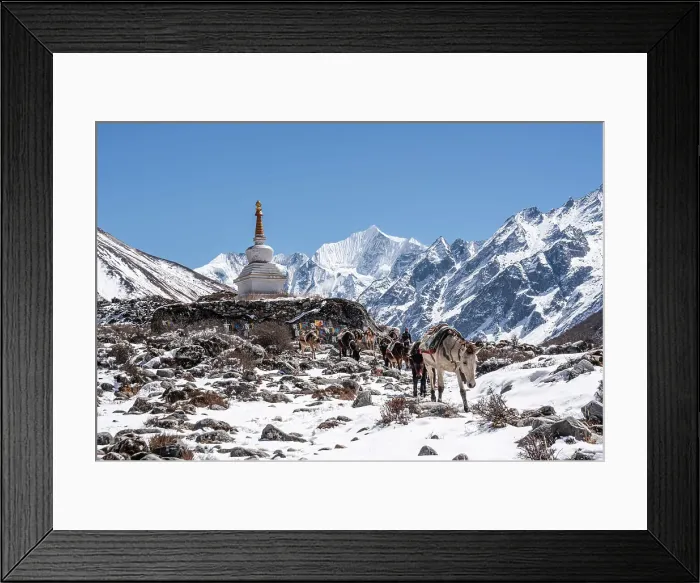 Framed Print : Stupa (chorten), Kyanjin Gompa, Langtang Valley trek, Himalayas, Nepal, Asia Framed Print : Stupa (chorten), Kyanjin Gompa, Langtang Valley trek, Himalayas, Nepal, Asia