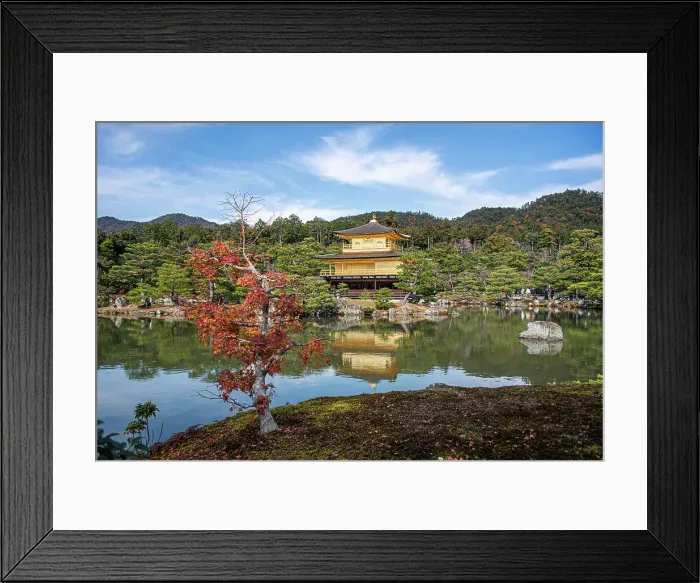 Framed Print : Golden Temple (Kinkaku-ji) (Temple of the Golden Pavilion), UNESCO World Heritage Site, Kyoto, Honshu, Japan, Asia Framed Print : Golden Temple (Kinkaku-ji) (Temple of the Golden Pavilion), UNESCO World Heritage Site, Kyoto, Honshu, Japan, Asia