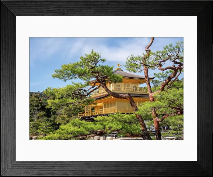 Framed Print : Golden Temple (Kinkaku-ji) (Temple of the Golden Pavilion), UNESCO World Heritage Site, Kyoto, Honshu, Japan, Asia Framed Print : Golden Temple (Kinkaku-ji) (Temple of the Golden Pavilion), UNESCO World Heritage Site, Kyoto, Honshu, Japan, Asia