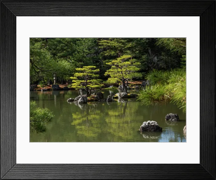 Framed Print : Japanese Zen garden lake Kinkaku-ji (Temple of the Golden Pavilion), UNESCO World Heritage Site, Kyoto, Honshu, Japan, Asia Framed Print : Japanese Zen garden lake Kinkaku-ji (Temple of the Golden Pavilion), UNESCO World Heritage Site, Kyoto, Honshu, Japan, Asia