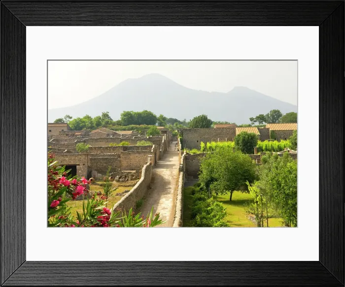 Framed Print : Orchard and vineyard, archaeological site of Pompeii, UNESCO World Heritage Site, province of Naples, Campania region, Italy, Europe