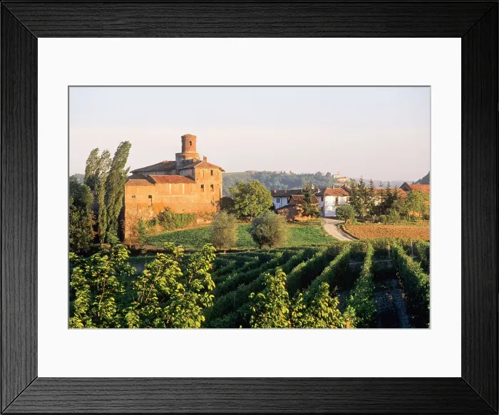 Framed Print : Vineyards around Novello, Province of Cuneo, Piedmont region, Italy, Europe Framed Print : Vineyards around Novello, Province of Cuneo, Piedmont region, Italy, Europe