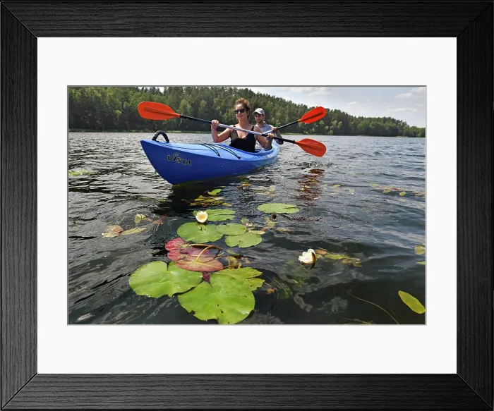 Framed Print : Canoe trip among the nenufars (Nymphaea) on the lake Asekas around Ginuciai, Aukstaitija National Park, Lithuania, Europe Framed Print : Canoe trip among the nenufars (Nymphaea) on the lake Asekas around Ginuciai, Aukstaitija National Park, Lithuania, Europe