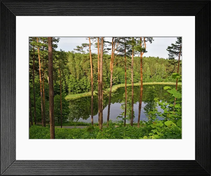 Framed Print : Linkmenas lake seen from the Ginuciai mound where the famous Linknenys castle stood during the 13th to 15th centuries, Ginuciai, Aukstaitija National Park, Lithuania, Europe Framed Print : Linkmenas lake seen from the Ginuciai mound where the famous Linknenys castle stood during the 13th to 15th centuries, Ginuciai, Aukstaitija National Park, Lithuania, Europe