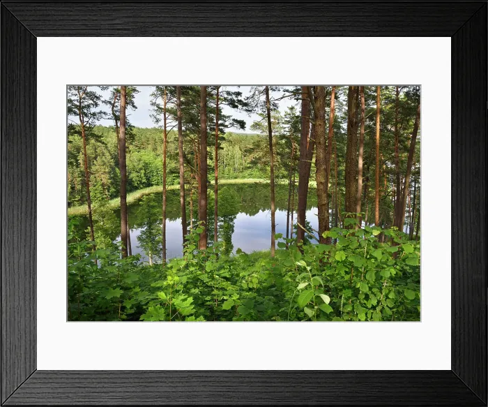 Framed Print : Linkmenas lake seen from the Ginuciai mound where the famous Linknenys castle stood during the 13th to 15th centuries, Ginuciai, Aukstaitija National Park, Lithuania, Europe Framed Print : Linkmenas lake seen from the Ginuciai mound where the famous Linknenys castle stood during the 13th to 15th centuries, Ginuciai, Aukstaitija National Park, Lithuania, Europe