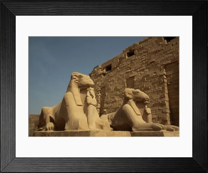 Framed Print : Row of Ram-Headed Sphinxes, Corridor Entrance, Karnak Temple Complex, UNESCO World Heritage Site, Luxor, Egypt, North Africa, Africa Framed Print : Row of Ram-Headed Sphinxes, Corridor Entrance, Karnak Temple Complex, UNESCO World Heritage Site, Luxor, Egypt, North Africa, Africa