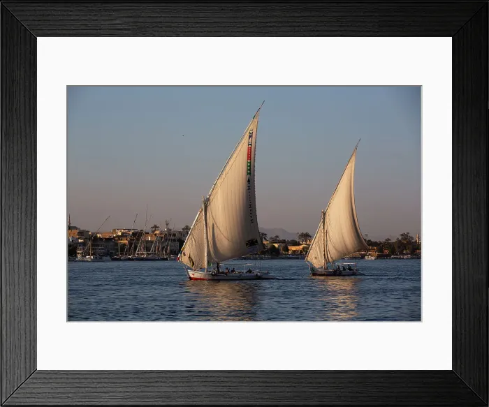 Framed Print : Feluccas Sailing on the Nile River, Luxor, Egypt, North Africa, Africa Framed Print : Feluccas Sailing on the Nile River, Luxor, Egypt, North Africa, Africa