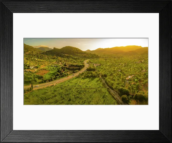 Framed Print : Aerial view of fruit tree fields near Andratx at sunset, Majorca, Balearic Islands, Spain, Mediterranean, Europe Framed Print : Aerial view of fruit tree fields near Andratx at sunset, Majorca, Balearic Islands, Spain, Mediterranean, Europe
