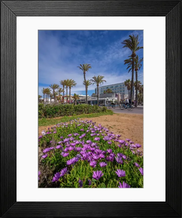Framed Print : View of cafes and bars at Playa de Palma, S'Arenal, Palma, Majorca, Balearic Islands, Spain, Mediterranean, Europe Framed Print : View of cafes and bars at Playa de Palma, S'Arenal, Palma, Majorca, Balearic Islands, Spain, Mediterranean, Europe