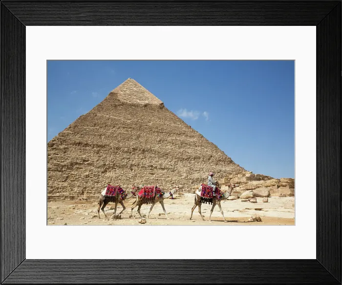 Framed Print : Man with Camels, Pyramid of Khafre (Chephren) in the background, Giza Pyramid Complex, UNESCO World Heritage Site, Giza, Egypt, North Africa, Africa Framed Print : Man with Camels, Pyramid of Khafre (Chephren) in the background, Giza Pyramid Complex, UNESCO World Heritage Site, Giza, Egypt, North Africa, Africa