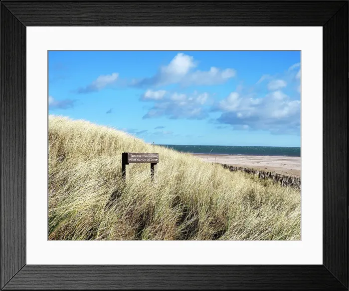 Framed Print : Dunes at the West Sands in St. Andrews, Fife, Scotland, United Kingdom, Europe Framed Print : Dunes at the West Sands in St. Andrews, Fife, Scotland, United Kingdom, Europe