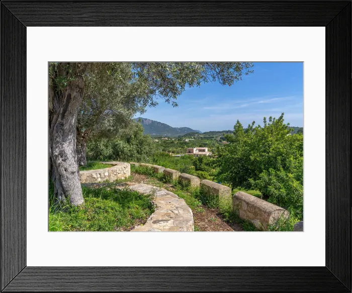 Framed Print : View of countryside near hilltop town of Caimari and vineyard, Majorca, Balearic Islands, Spain, Mediterranean, Europe Framed Print : View of countryside near hilltop town of Caimari and vineyard, Majorca, Balearic Islands, Spain, Mediterranean, Europe