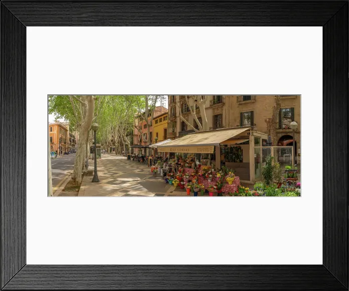 Framed Print : View of flower stall and cafe on tree lined La Rambla in Palma, Palma de Mallorca, Majorca, Balearic Islands, Spain, Mediterranean, Europe Framed Print : View of flower stall and cafe on tree lined La Rambla in Palma, Palma de Mallorca, Majorca, Balearic Islands, Spain, Mediterranean, Europe
