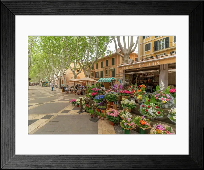 Framed Print : View of flower stall and cafe on tree lined La Rambla in Palma, Palma de Mallorca, Majorca, Balearic Islands, Spain, Mediterranean, Europe Framed Print : View of flower stall and cafe on tree lined La Rambla in Palma, Palma de Mallorca, Majorca, Balearic Islands, Spain, Mediterranean, Europe