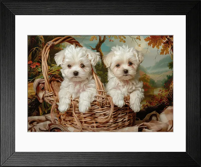 Framed Print : AI generated image of Two cute Maltese pups sitting in a wicker basket Framed Print : AI generated image of Two cute Maltese pups sitting in a wicker basket
