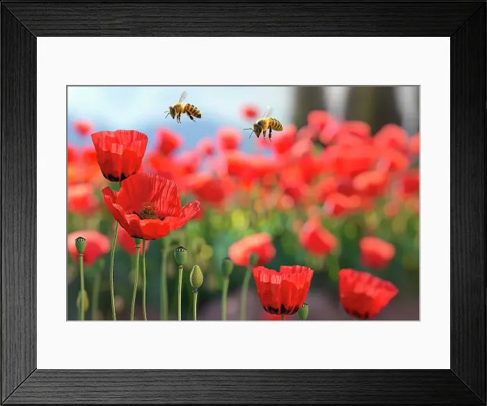 Framed Print : AI generated image of Honeybees flying above a red poppy field