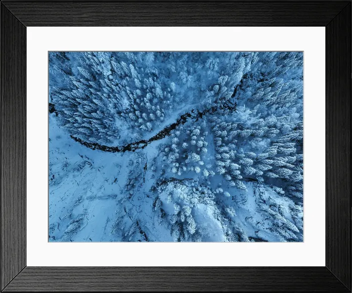Framed Print : Aerial of a winter forest, Schwangau, Fussen, Swabia, Bavarian Alps, Bavaria, Germany, Europe Framed Print : Aerial of a winter forest, Schwangau, Fussen, Swabia, Bavarian Alps, Bavaria, Germany, Europe