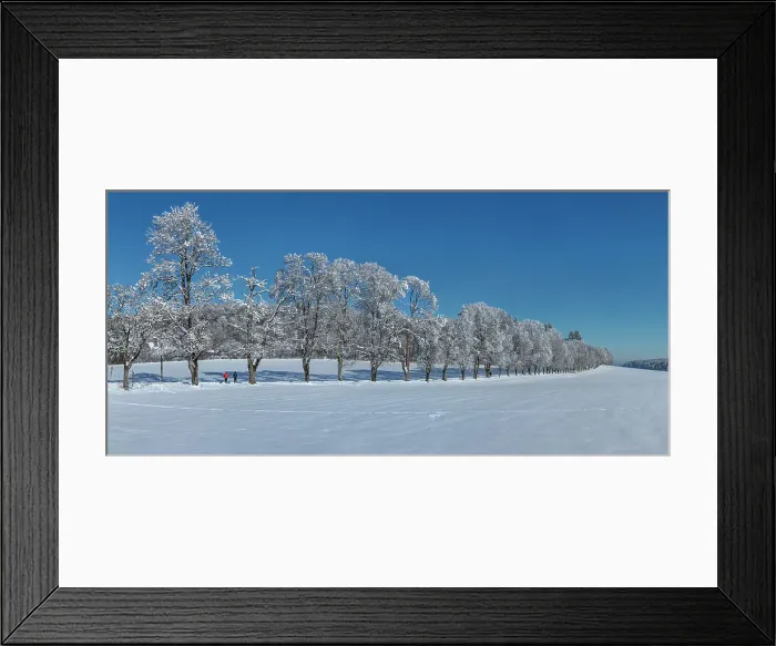 Framed Print : Alley of trees in winter, Swabian Jura, Baden-Wurttemberg, Germany, Europe Framed Print : Alley of trees in winter, Swabian Jura, Baden-Wurttemberg, Germany, Europe